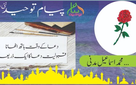 دعا کے وقت ہاتھ اٹھانا قبولیت دعا کا ایک ذریعہ