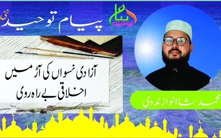 آزادی نسواں کی آڑ میں اخلاقی بے راہ روی